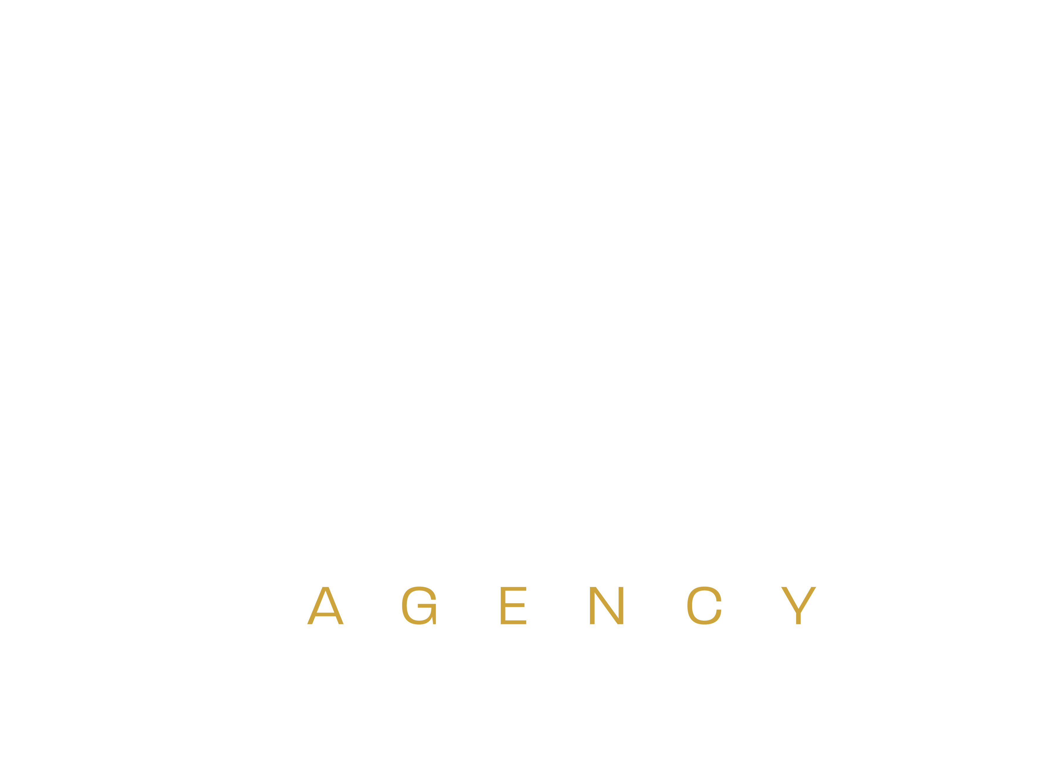 Logo TMS Agency